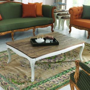Vintage Salon Takımı - Görsel 5